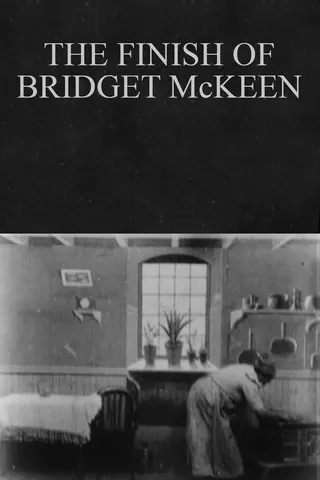 Görsel: TMDB The Finish of Bridget McKeen afişi