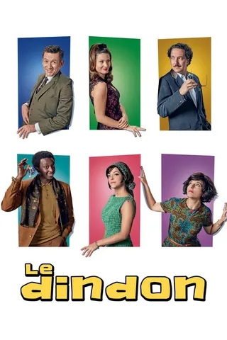The fool afişi