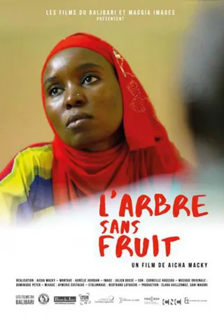Görsel: TMDB The Fruitless Tree afişi