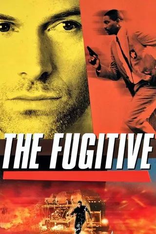 The Fugitive afişi