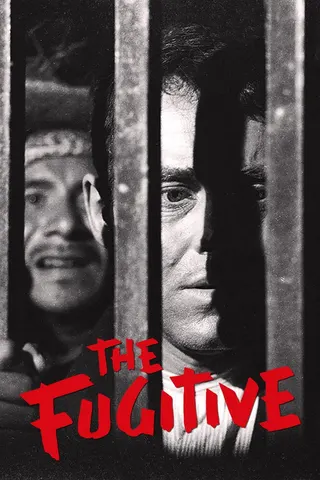 The Fugitive afişi