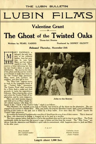 Görsel: TMDB The Ghost of Twisted Oaks afişi