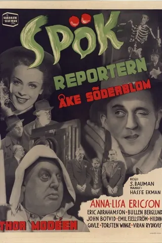 Görsel: TMDB The Ghost Reporter afişi