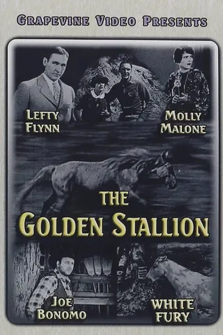 The Golden Stallion afişi