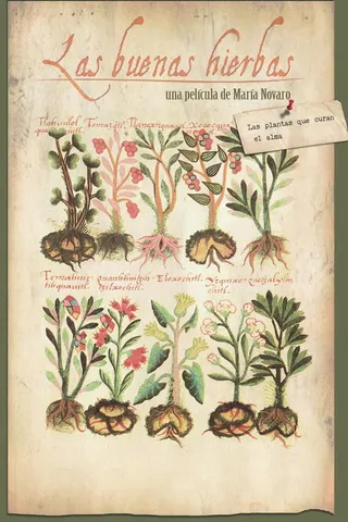 The Good Herbs afişi