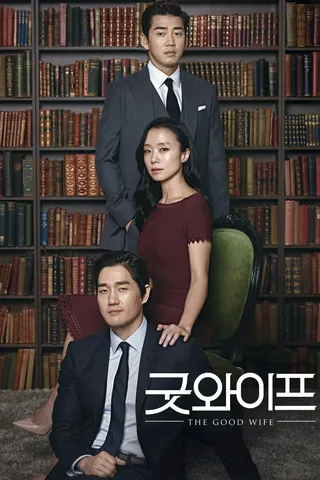 Görsel: TMDB The Good Wife afişi