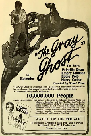 The Gray Ghost afişi