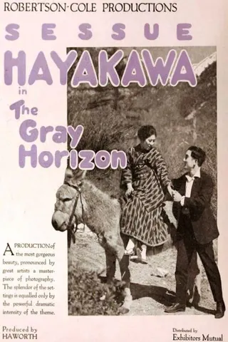 The Gray Horizon afişi