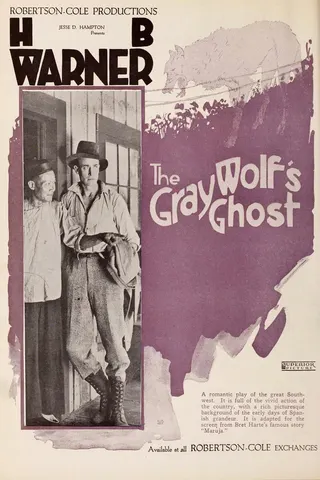 Görsel: TMDB The Gray Wolf's Ghost afişi