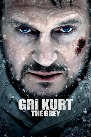 Görsel: TMDB The Grey afişi