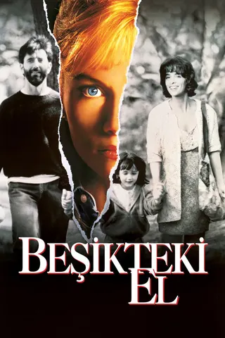 Görsel: TMDB The Hand That Rocks the Cradle afişi