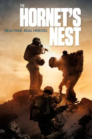 The Hornet's Nest afişi