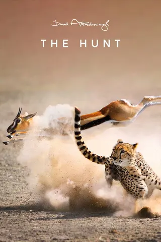 Görsel: TMDB The Hunt afişi