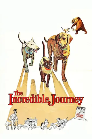 The Incredible Journey afişi