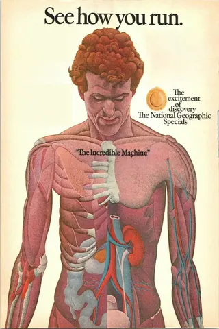 The Incredible Machine afişi