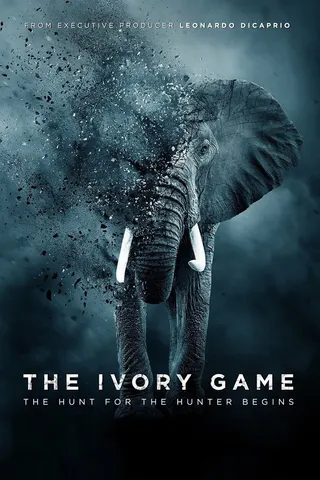 Görsel: TMDB The Ivory Game afişi