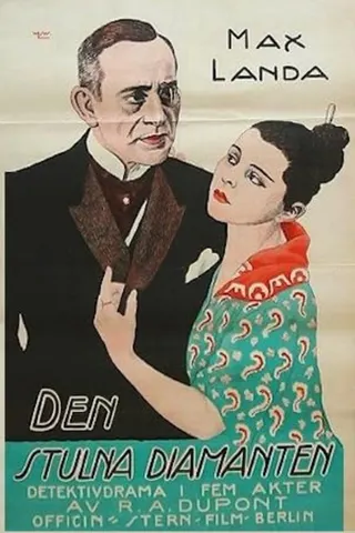 Görsel: TMDB The Japanese Woman afişi