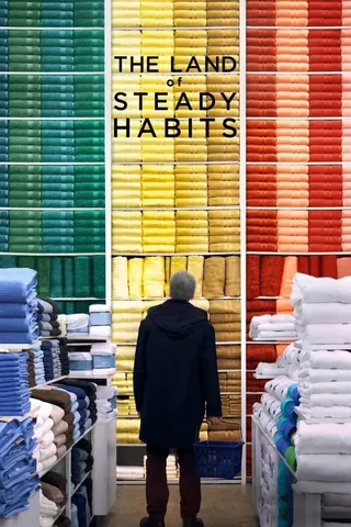 Görsel: TMDB The Land of Steady Habits afişi