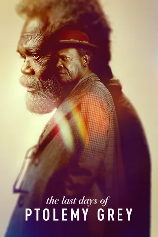 The Last Days of Ptolemy Grey afişi