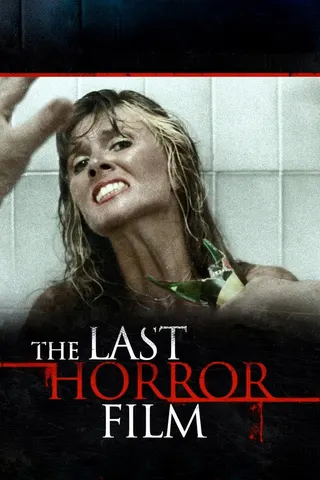 The Last Horror Film afişi
