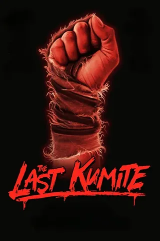 The Last Kumite afişi