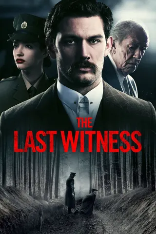 The Last Witness afişi