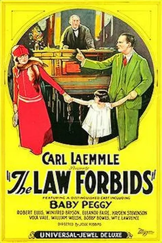 The Law Forbids afişi
