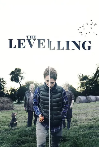 Görsel: TMDB The Levelling afişi