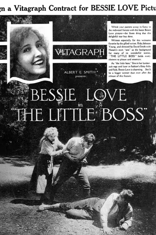 The Little Boss afişi