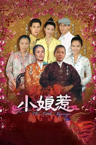 Görsel: TMDB The Little Nyonya afişi