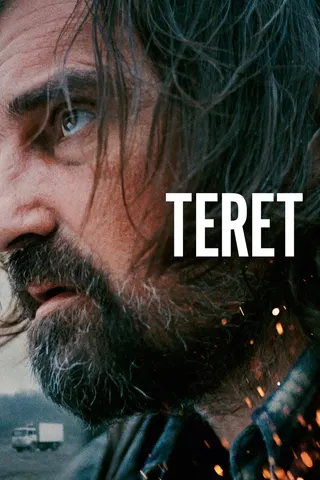 Görsel: TMDB The Load afişi