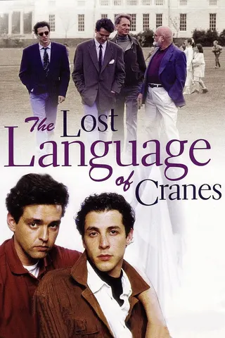 Görsel: TMDB The Lost Language of Cranes afişi