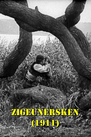 Görsel: TMDB The Love of a Gypsy Girl afişi
