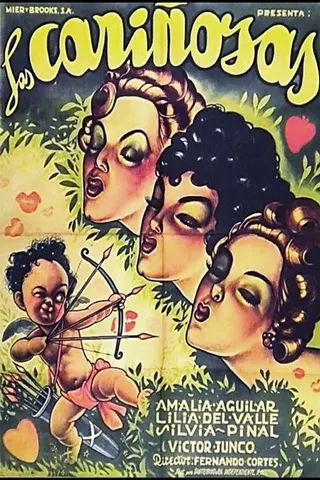 Görsel: TMDB The Loving Women afişi