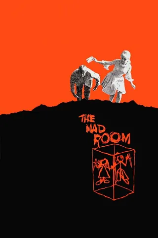 The Mad Room afişi