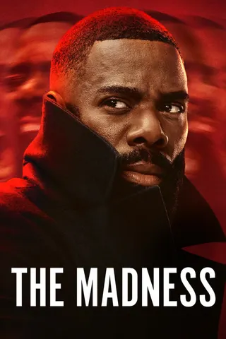 Görsel: TMDB The Madness afişi