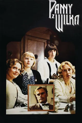 Görsel: TMDB The Maids of Wilko afişi