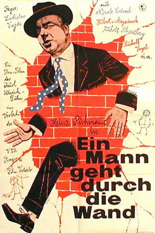 Görsel: TMDB The Man Who Walked Through the Wall afişi