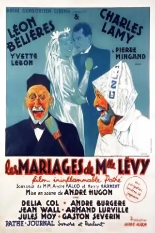 The Marriages of Mademoiselle Levy afişi