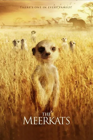 Görsel: TMDB The Meerkats afişi