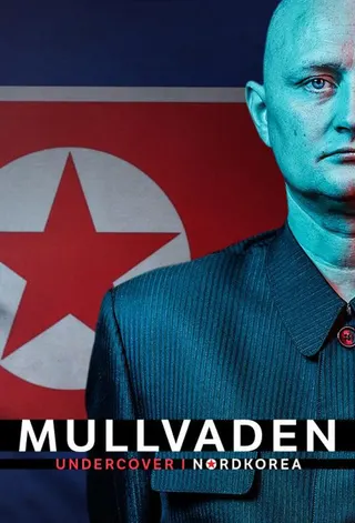 Görsel: TMDB The Mole – Undercover in North Korea afişi