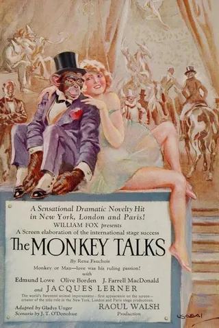 The Monkey Talks afişi