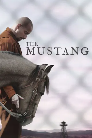 Görsel: TMDB The Mustang afişi