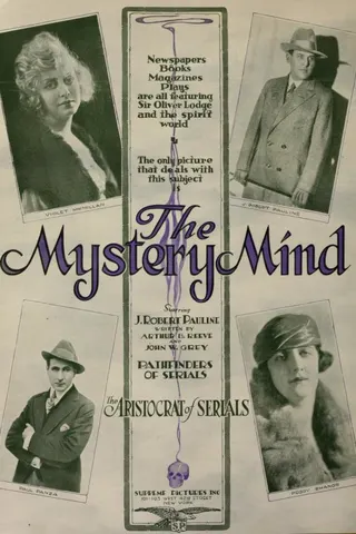 The Mystery Mind afişi
