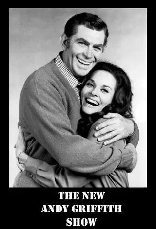 The New Andy Griffith Show afişi