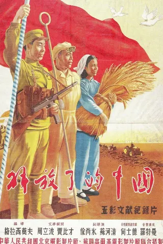 Görsel: TMDB The New China afişi