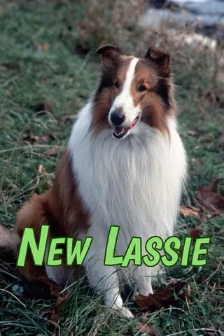Görsel: TMDB The New Lassie afişi