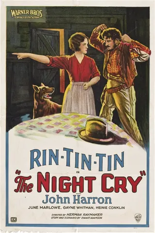 Görsel: TMDB The Night Cry afişi