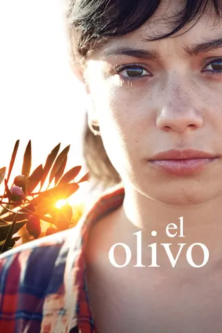 The Olive Tree afişi