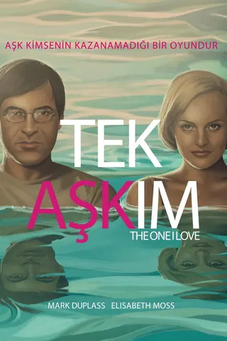 Görsel: TMDB The One I Love afişi